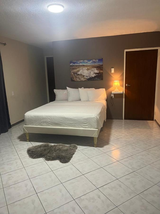 Cataleya Apartments Near Airport Willemstad Exterior foto